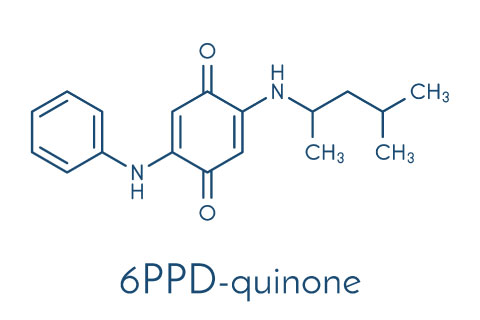 Testing for Your 6PPD Alternative Solution